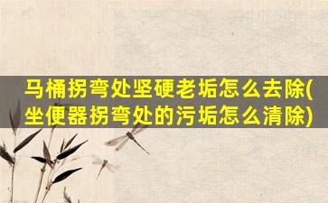 马桶拐弯处坚硬老垢怎么去除(坐便器拐弯处的污垢怎么清除)