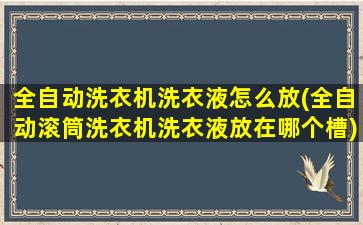 全自动洗衣机洗衣液怎么放(全自动滚筒洗衣机洗衣液放在哪个槽)