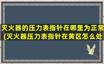 灭火器的压力表指针在哪里为正常(灭火器压力表指针在黄区怎么处理)