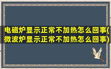 电磁炉显示正常不加热怎么回事(微波炉显示正常不加热怎么回事)
