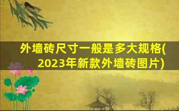 外墙砖尺寸一般是多大规格(2023年新款外墙砖图片)