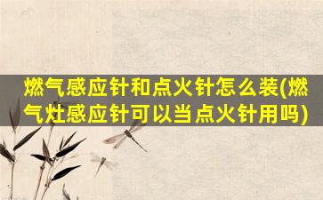 燃气感应针和点火针怎么装(燃气灶感应针可以当点火针用吗)