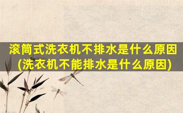滚筒式洗衣机不排水是什么原因(洗衣机不能排水是什么原因)