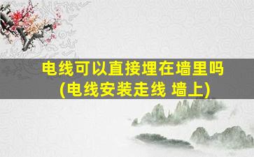 电线可以直接埋在墙里吗(电线安装走线 墙上)