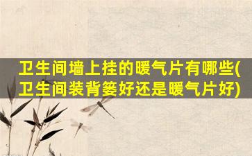 卫生间墙上挂的暖气片有哪些(卫生间装背篓好还是暖气片好)