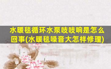 水暖毯循环水泵吱吱响是怎么回事(水暖毯噪音大怎样修理)