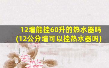 12墙能挂60升的热水器吗(12公分墙可以挂热水器吗)