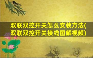 双联双控开关怎么安装方法(双联双控开关接线图解视频)
