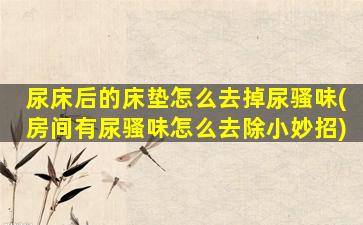 尿床后的床垫怎么去掉尿骚味(房间有尿骚味怎么去除小妙招)