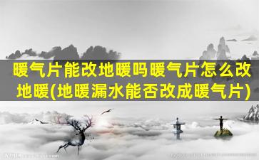 暖气片能改地暖吗暖气片怎么改地暖(地暖漏水能否改成暖气片)