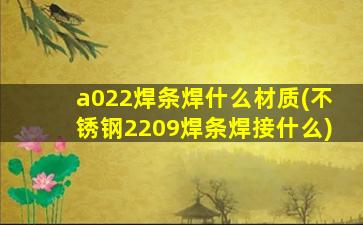 a022焊条焊什么材质(不锈钢2209焊条焊接什么)