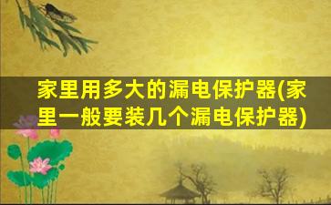 家里用多大的漏电保护器(家里一般要装几个漏电保护器)