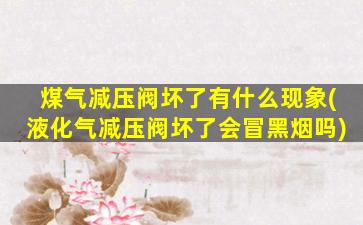 煤气减压阀坏了有什么现象(液化气减压阀坏了会冒黑烟吗)