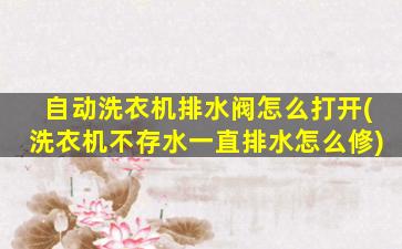 自动洗衣机排水阀怎么打开(洗衣机不存水一直排水怎么修)