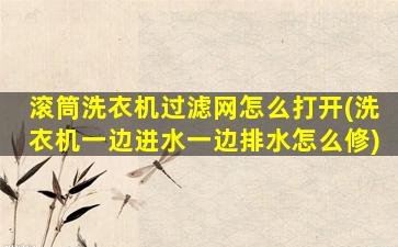 滚筒洗衣机过滤网怎么打开(洗衣机一边进水一边排水怎么修)
