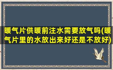 暖气片供暖前注水需要放气吗(暖气片里的水放出来好还是不放好)