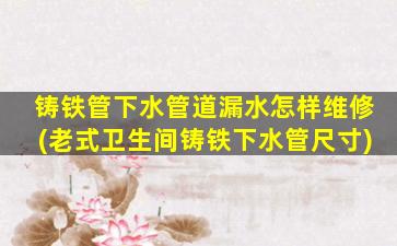 铸铁管下水管道漏水怎样维修(老式卫生间铸铁下水管尺寸)