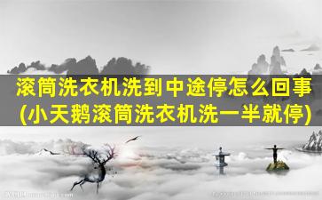 滚筒洗衣机洗到中途停怎么回事(小天鹅滚筒洗衣机洗一半就停)