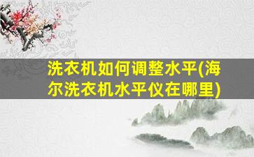 洗衣机如何调整水平(海尔洗衣机水平仪在哪里)