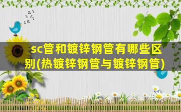 sc管和镀锌钢管有哪些区别(热镀锌钢管与镀锌钢管)