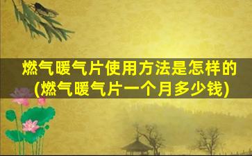 燃气暖气片使用方法是怎样的(燃气暖气片一个月多少钱)