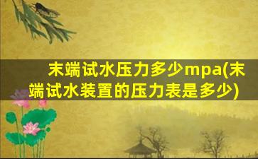 末端试水压力多少mpa(末端试水装置的压力表是多少)