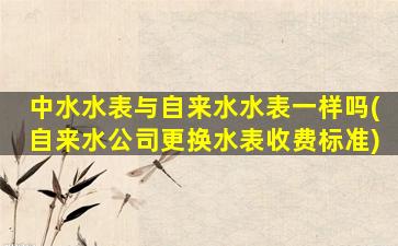 中水水表与自来水水表一样吗(自来水公司更换水表收费标准)