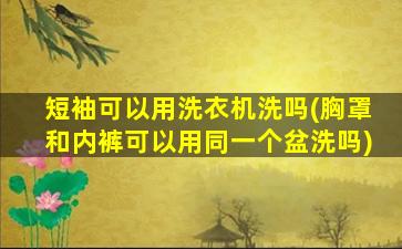 短袖可以用洗衣机洗吗(胸罩和内裤可以用同一个盆洗吗)