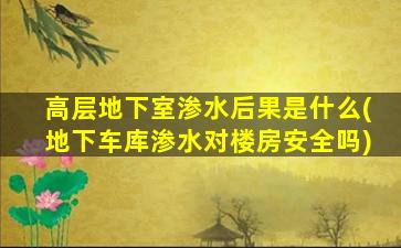 高层地下室渗水后果是什么(地下车库渗水对楼房安全吗)