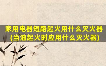 家用电器短路起火用什么灭火器(当油起火时应用什么灭火器)