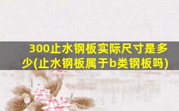 300止水钢板实际尺寸是多少(止水钢板属于b类钢板吗)