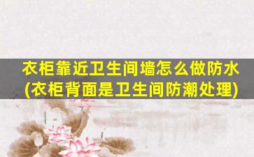 衣柜靠近卫生间墙怎么做防水(衣柜背面是卫生间防潮处理)