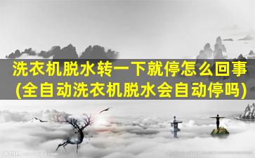 洗衣机脱水转一下就停怎么回事(全自动洗衣机脱水会自动停吗)