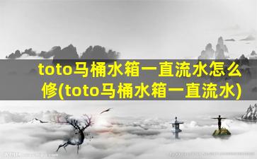 toto马桶水箱一直流水怎么修(toto马桶水箱一直流水)