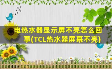 电热水器显示屏不亮怎么回事(TCL热水器屏幕不亮)