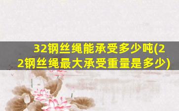 32钢丝绳能承受多少吨(22钢丝绳最大承受重量是多少)
