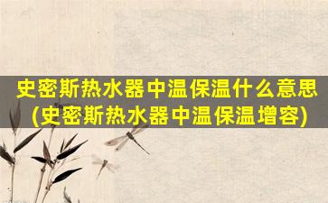 史密斯热水器中温保温什么意思(史密斯热水器中温保温增容)
