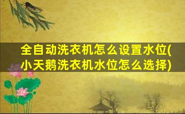 全自动洗衣机怎么设置水位(小天鹅洗衣机水位怎么选择)