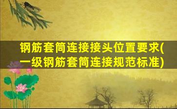 钢筋套筒连接接头位置要求(一级钢筋套筒连接规范标准)