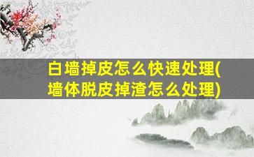 白墙掉皮怎么快速处理(墙体脱皮掉渣怎么处理)