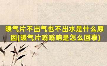 暖气片不出气也不出水是什么原因(暖气片嗡嗡响是怎么回事)