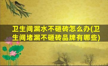 卫生间漏水不砸砖怎么办(卫生间堵漏不砸砖品牌有哪些)