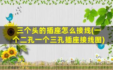 三个头的插座怎么接线(一个二孔一个三孔插座接线图)