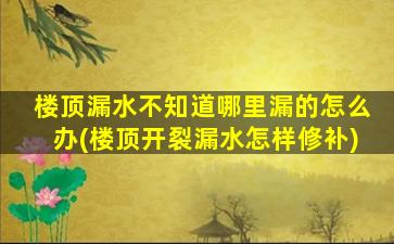 楼顶漏水不知道哪里漏的怎么办(楼顶开裂漏水怎样修补)