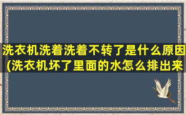 洗衣机洗着洗着不转了是什么原因(洗衣机坏了里面的水怎么排出来)