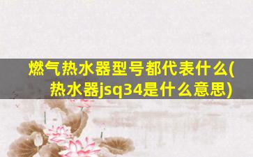 燃气热水器型号都代表什么(热水器jsq34是什么意思)