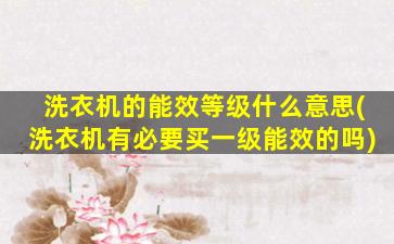 洗衣机的能效等级什么意思(洗衣机有必要买一级能效的吗)
