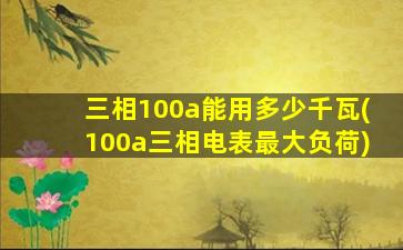三相100a能用多少千瓦(100a三相电表最大负荷)