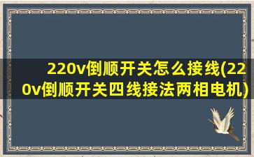 220v倒顺开关怎么接线(220v倒顺开关四线接法两相电机)