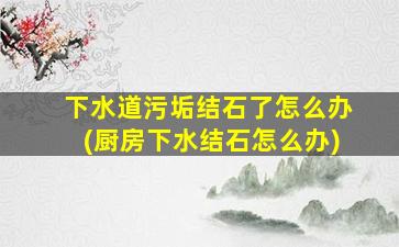 下水道污垢结石了怎么办(厨房下水结石怎么办)